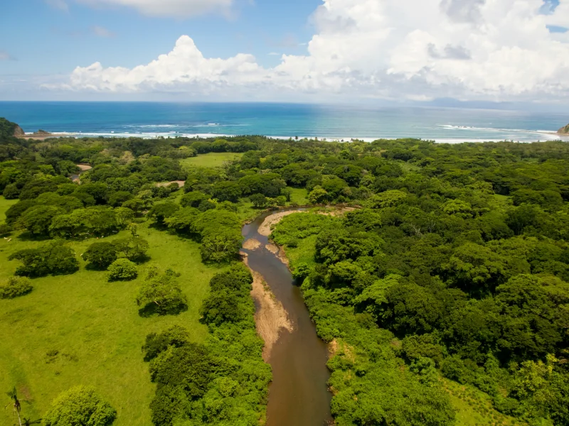 Lush green river valley meeting the Pacific coast near Playa Potrero under clear skies, Guanacaste, Costa Rica