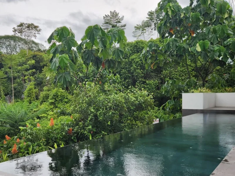 Rain falling over lush green tropical jungle and an infinity pool in Guanacaste's green season, Costa Rica