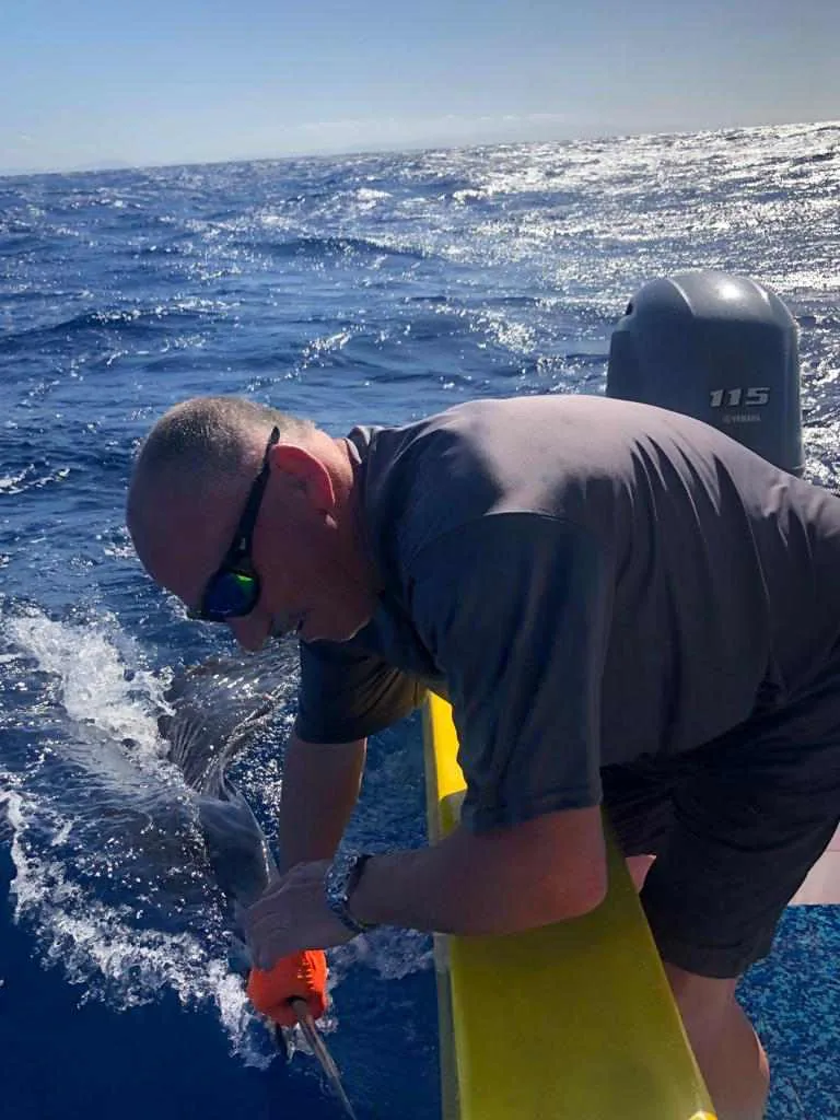 A Fish Potrero captain releasing a sailfish boatside on a charter off Playa Potrero