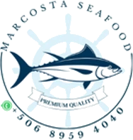 Marcosta Seafood logo — fresh local seafood market in Playa Potrero