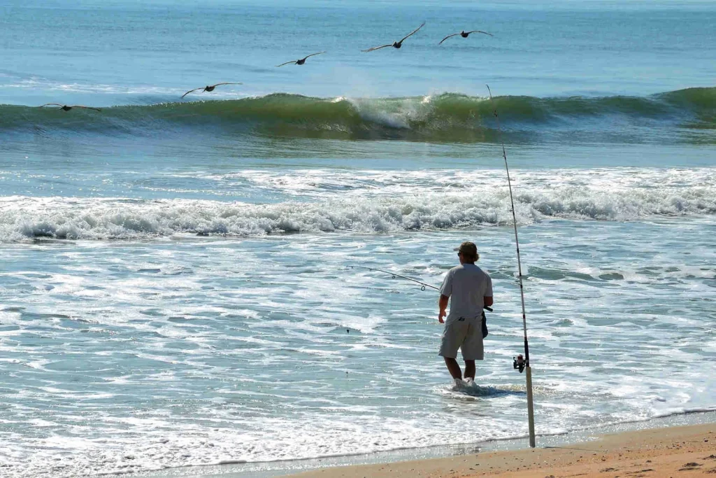 A surf angler casting into the waves as pelicans dive over the break off Playa Potrero