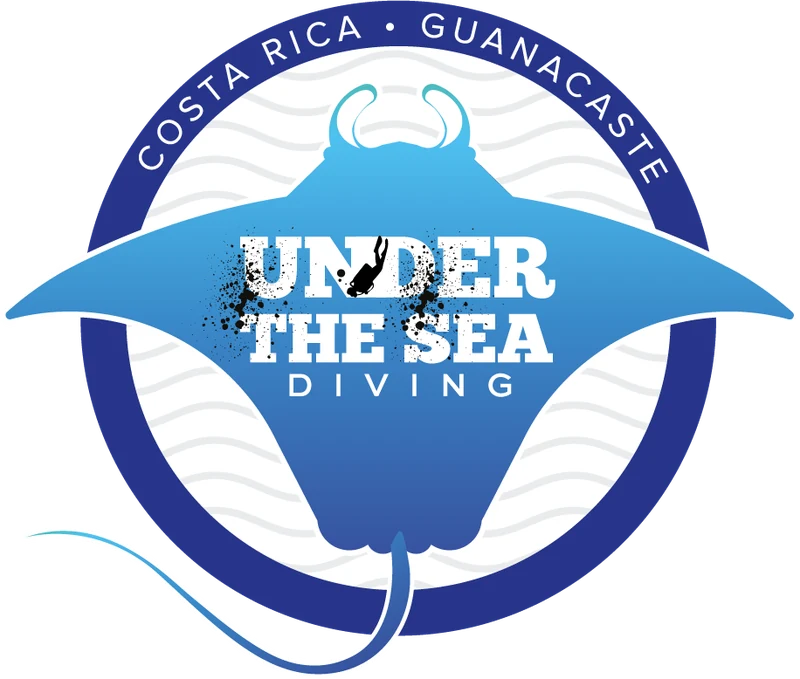 Under the Sea Diving logo