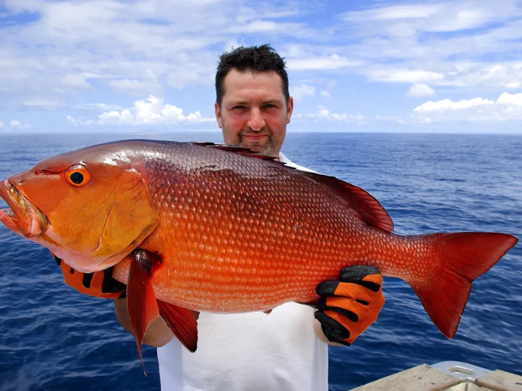An angler holding a large Pacific cubera snapper caught on a Fish Potrero sport fishing charter off the Guanacaste coast, Costa Rica